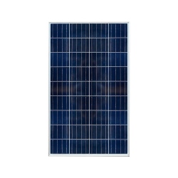 Panneau solaire Poly 100 w