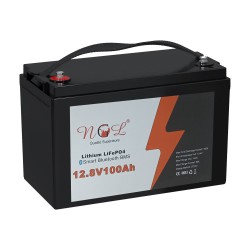 Batterie NGL Lithium 12.8V 100Ah
